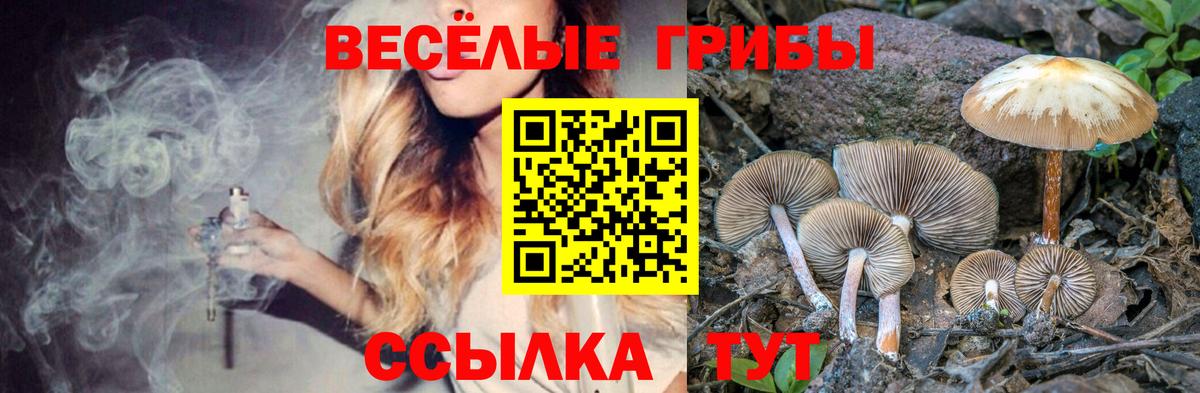 Ачинск  Псилоцибиновые грибы ЛСД  Вход с VPN 